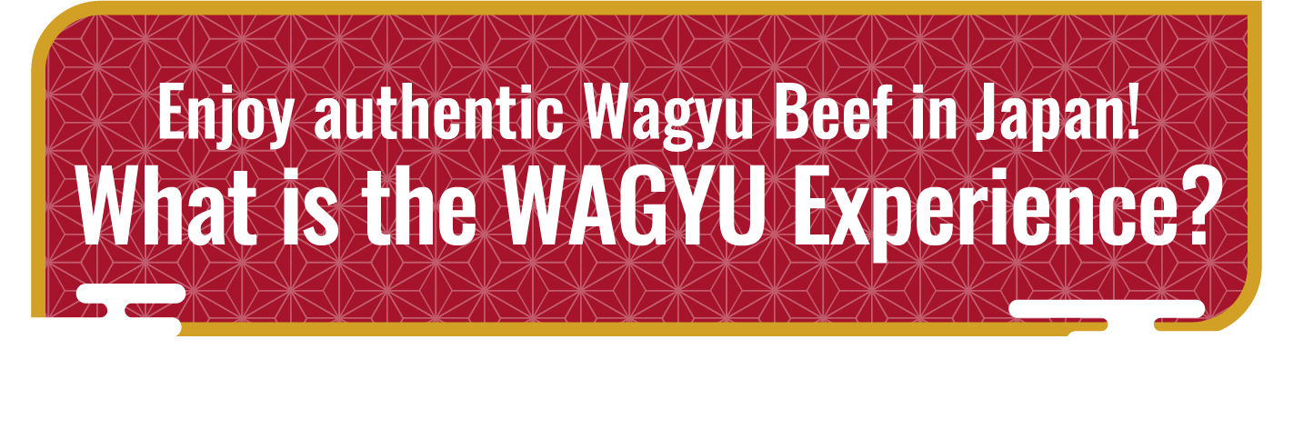 Enjoy authentic Wagyu Beef in Japan!What is the WAGYU Experience?